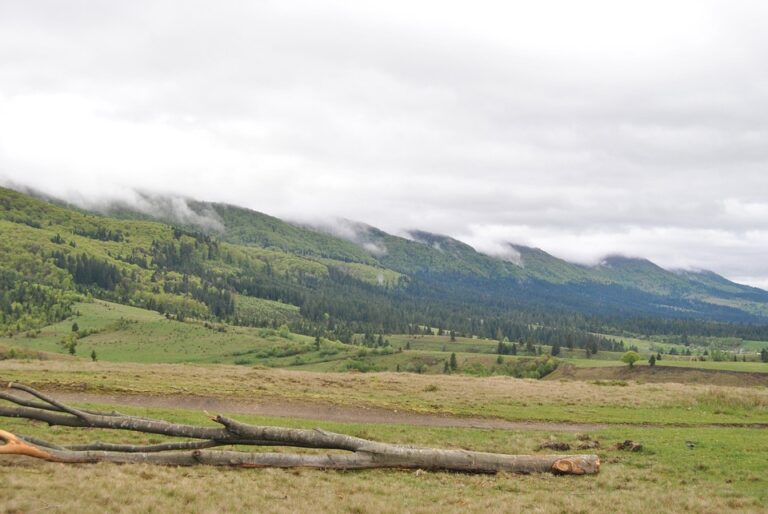 Inside the Russia-Ukraine War: Latest Updates and Developments