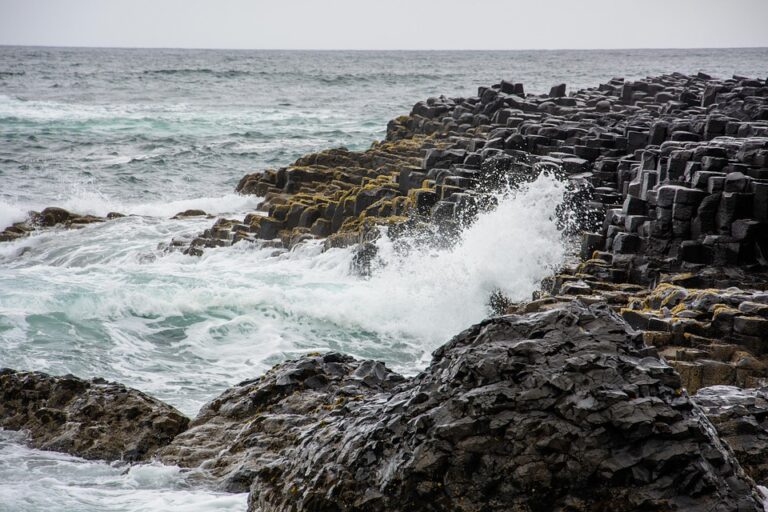 REACTION: Ireland find their edge in Dublin dust-up – Six Nations Rugby