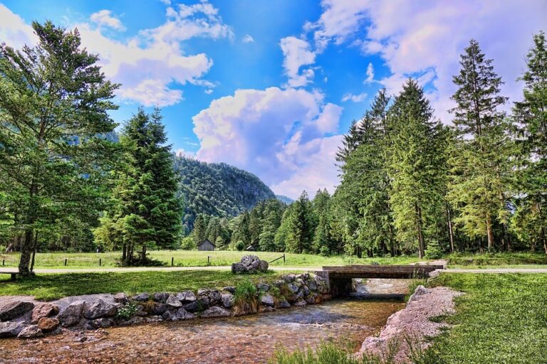 Meet the Austrian Cow That’s Mastered Tool Use!