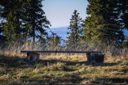 Romanian Foreign Minister Visits Kyiv to Witness a Powerful Moment of Resilience