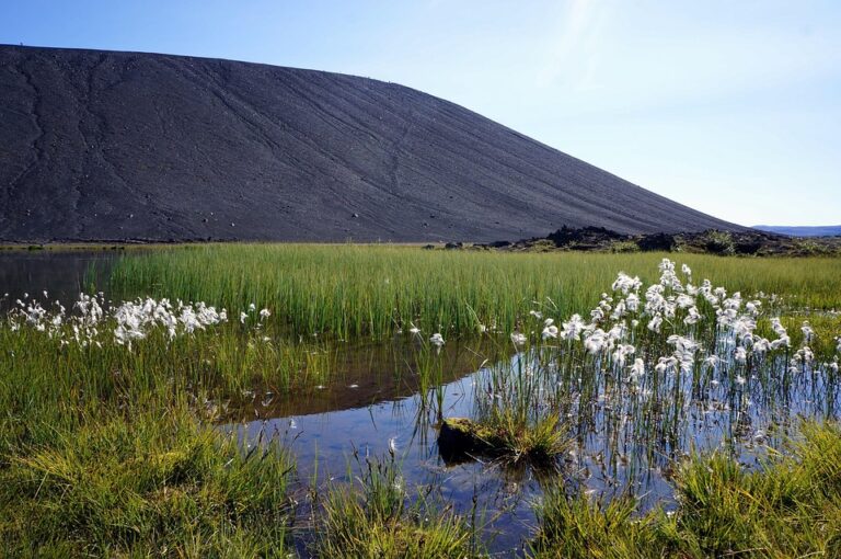 Top 30 Best Restaurants in Reykjavik – Guide to Iceland