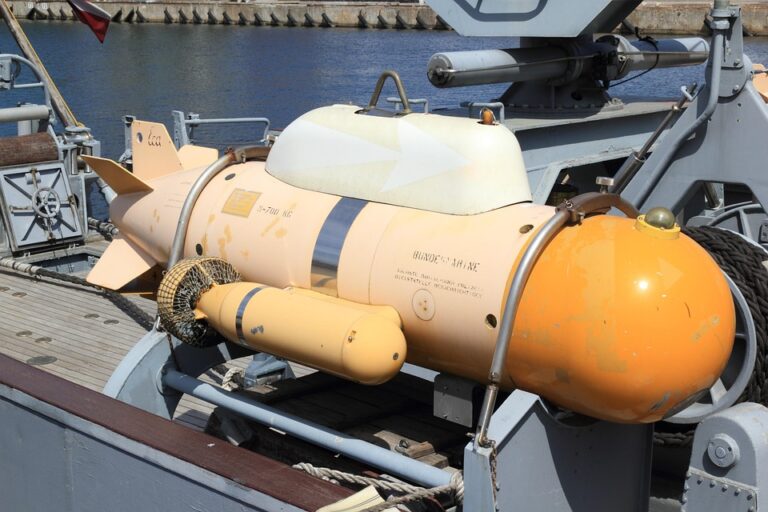 Latvia-Russia Dual Citizens Surge Fourfold in Recent Years