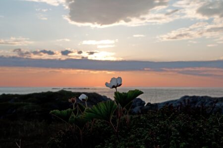 UNREAL 😮 “TV Patrol” anchor Alvin Elchico shares the breathtaking sight of Naeroyfjord in Aurland, Norway, during his vacation trip. | via Alvin Elchico, ABS-CBN News – facebook.com