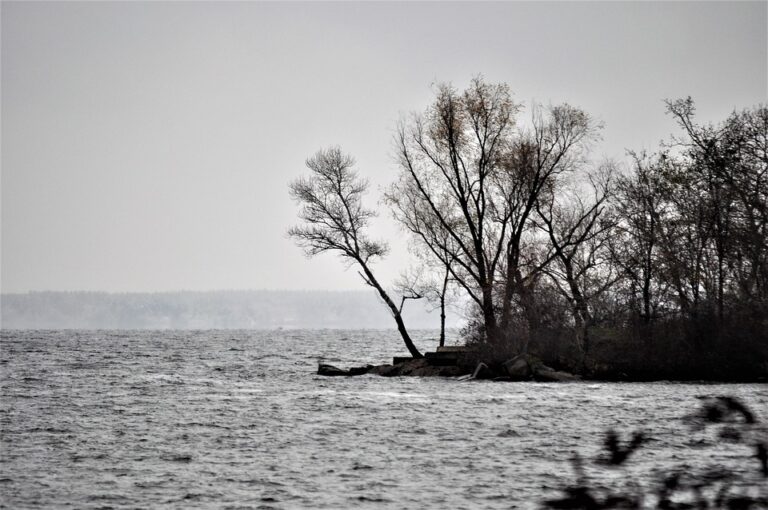 Zelenskyy Reaffirms Truce Offer as Orthodox Easter Approaches