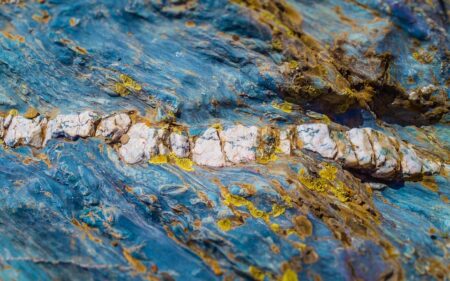 Renata Makes a Bold Entry into Portugal’s Therapeutics Market ¤