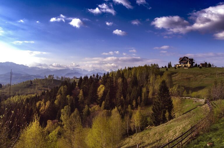 A Glimpse into Everyday Life in Romania ¤