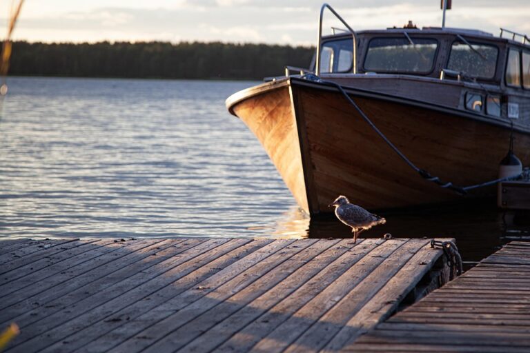 Latvia issues air threat alert, Finland restricts Gulf of Finland traffic – investingLive ¤