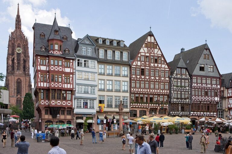 Germany’s Grape Harvest Arrives Record-Early Amid Intense Heat, Yield Expected to Shrink ¤