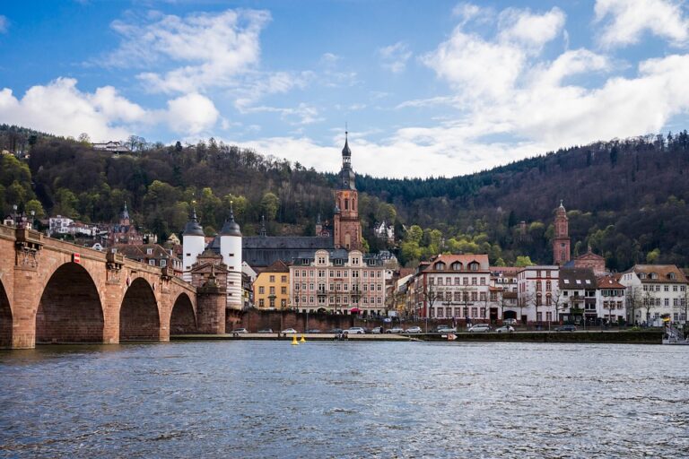 Germany’s VDMA Urges Europe to Accelerate Advances in Humanoid Robotics Amid Unitree’s Rapid Growth ¤