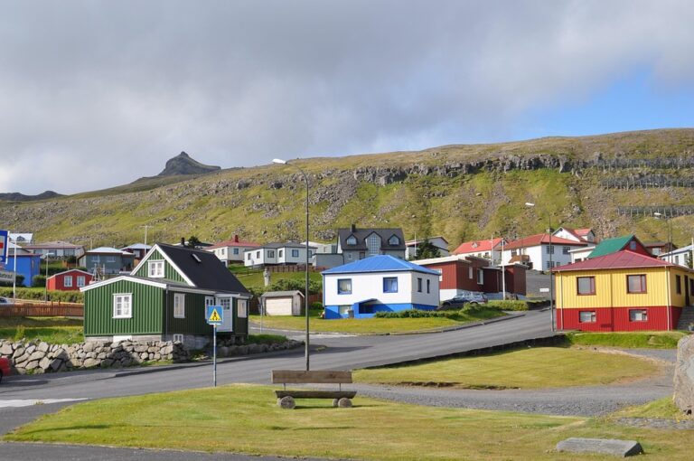 A Fascinating Icelandic Treasure ¤