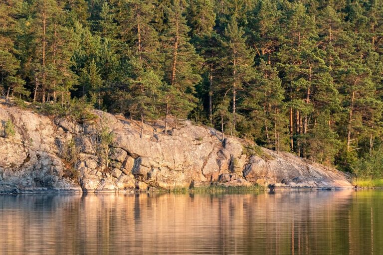Finland Charges Woman for Taking Children to IS-Controlled Areas in Syria ¤