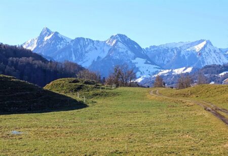 Discover the Latest Insights on Air Quality in Nottwil ¤