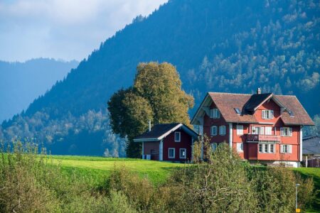 Switzerland Pioneers Innovative Forestry Technique to Combat Wildfires ¤