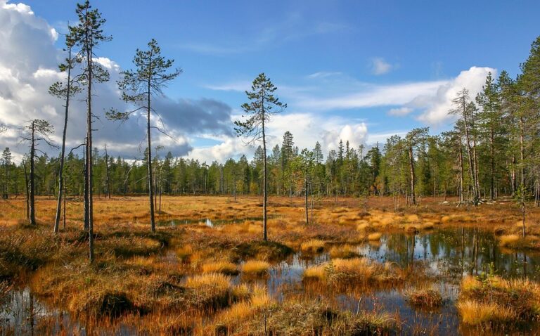 Exciting Developments at the Sakatti Copper and Polymetallic Project in Finland ¤