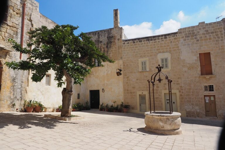 ‘feels like’ temperature to reach 46°C – Times of Malta ¤
