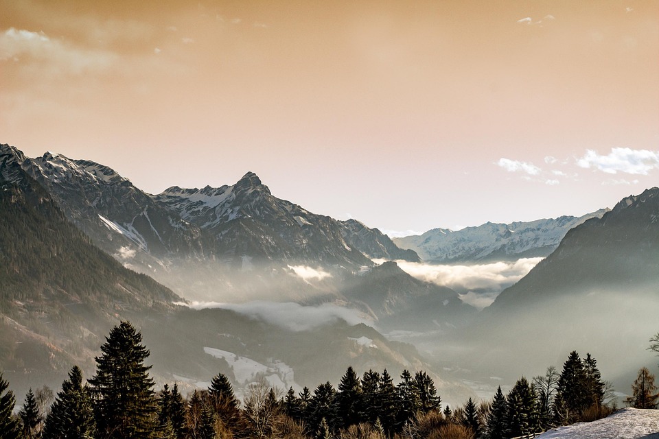 Your Essential Friday News Roundup ¤