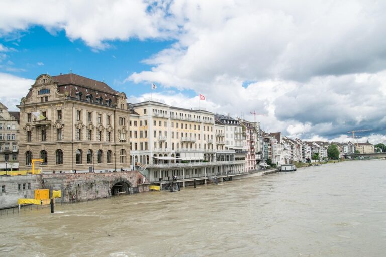 In August, price for wood furniture imported to Switzerland decreases 17% – lesprom.com ¤