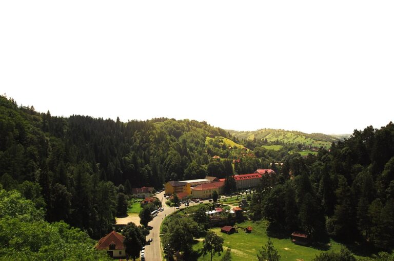 Genetic Study Reveals Declining Wolf Population in Romania’s Southern Carpathians ¤