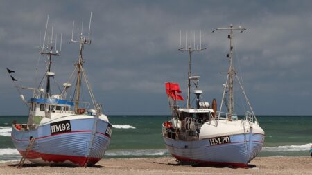 Denmark’s Trade Surplus Expands Significantly in July ¤