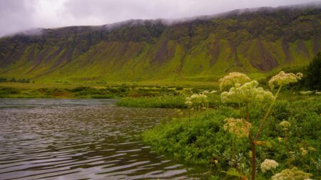 How Poland’s EU Membership Transformed the Country – Yet Its Largest Immigrant Community in Iceland Opposed Iceland Joining ¤