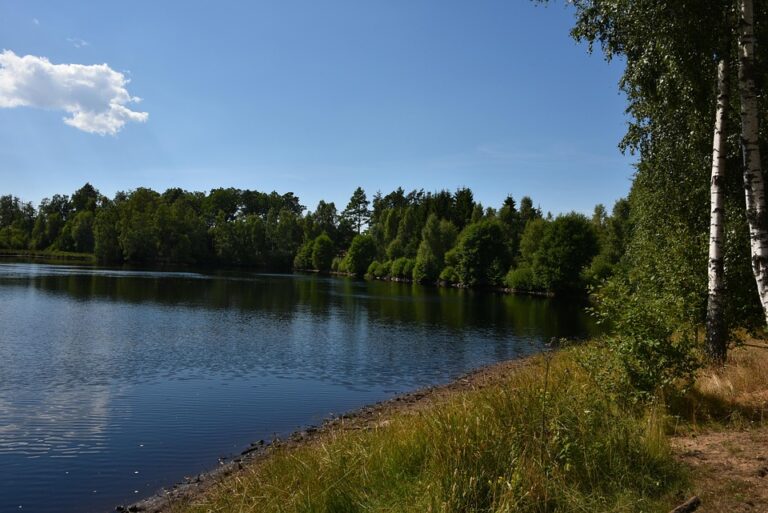 Sweden Sends Fighter Jets and Corvettes to Strengthen Finland’s Border Defense ¤
