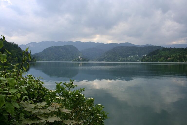 UN General Assembly Highlights Slovenia’s Global Impact ¤