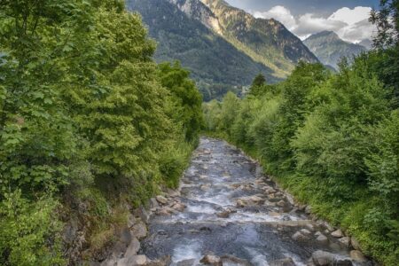 Manhunt underway after woman killed, several injured at Swiss rave shooting – Telegraph India ¤