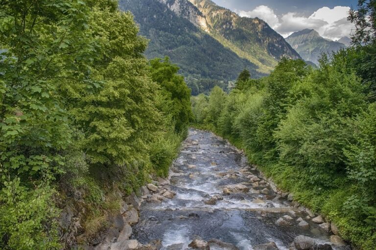 Manhunt underway after woman killed, several injured at Swiss rave shooting – Telegraph India ¤