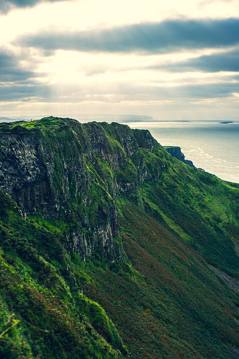 Breast Density Reporting Campaign Gains Momentum in Ireland – Oncodaily ¤