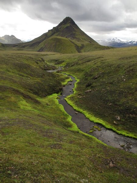 Iceland’s Murder Rate Is Surprisingly High-At Least on Paper ¤