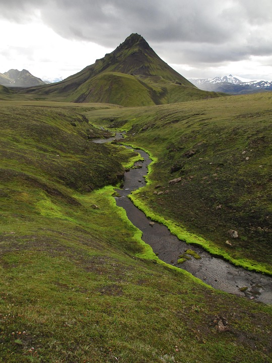 Iceland’s Murder Rate Is Surprisingly High-At Least on Paper ¤