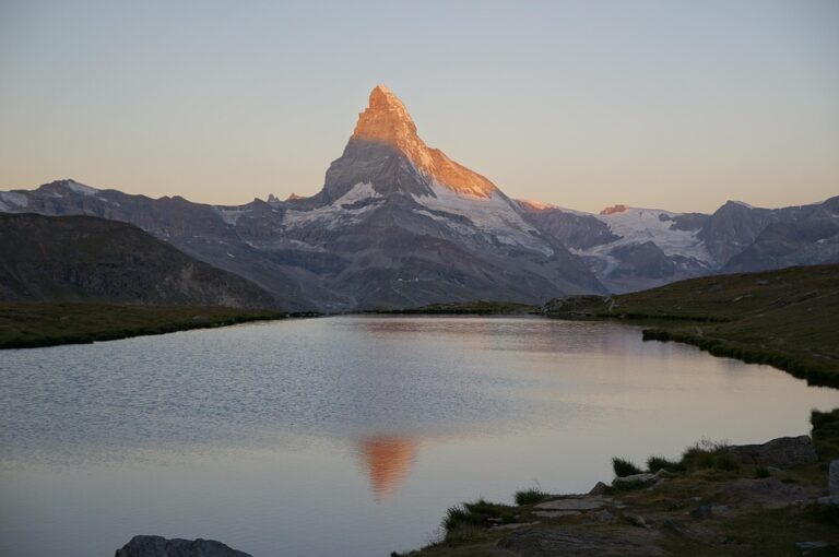 Which City Truly Reigns as the Ultimate Safe Haven? ¤