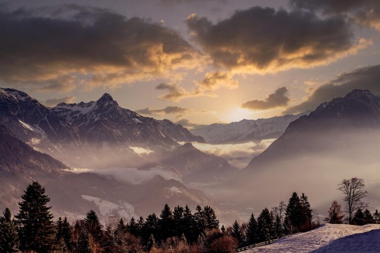 AIDA Country Report on Austria – Update on 2025 – European Council on Refugees and Exiles (ECRE)