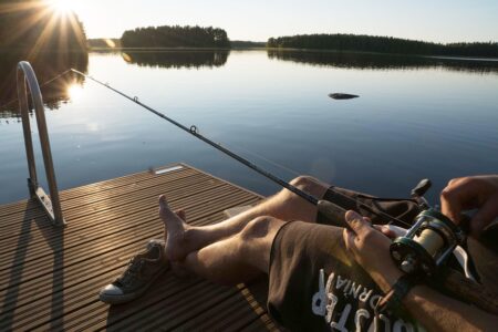 Finland Unveils Bold New Principles to Transform Agricultural Subsidies ¤