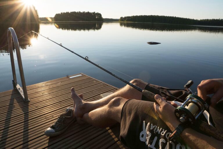 Finland Unveils Bold New Principles to Transform Agricultural Subsidies ¤