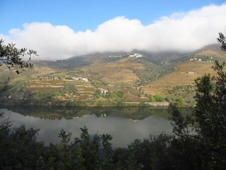 Portugal Gears Up to Tackle Soaring Temperatures and Impending Heatwave ¤