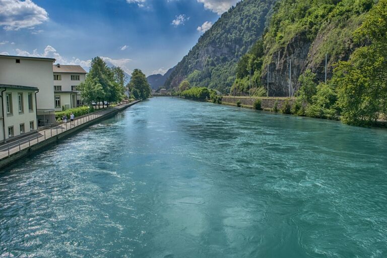 Swiss Police Arrest Suspect Following Deadly Rave Shooting ¤