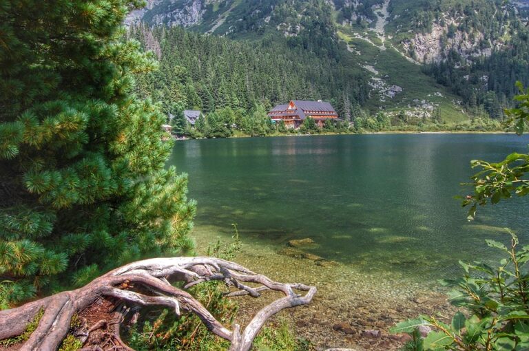 What You Need to Know About Slovakia’s Pollution Levels ¤