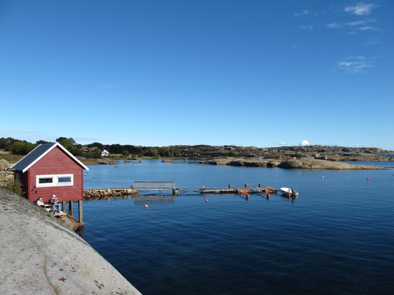 How a Centre-Left Sweden Could Transform Europe ¤