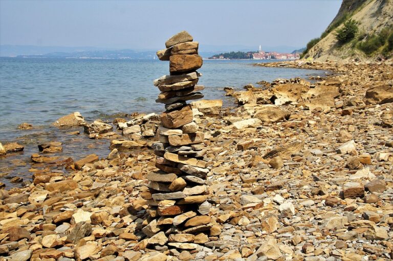 Slovenia sees surge in ‘.si’ sites after Trump hypes ‘super intelligence’ * ¤