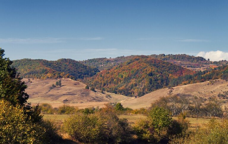 Enna Solar expands Romanian operations with acquisition of hybrid solar project – Romania Insider ¤