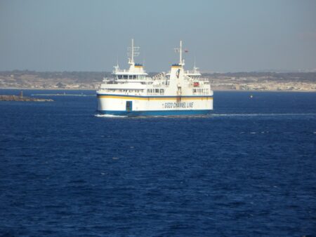 Tragic Mass Slaughter of Protected Birds Shakes Malta ¤
