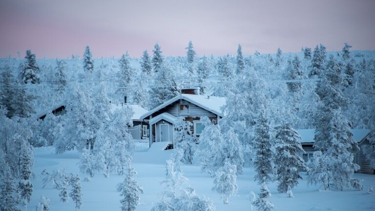 Finland to introduce citizenship test in March 2027 – Helsinki Times ¤