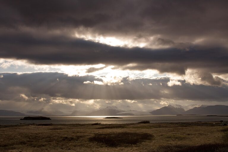 Discovery, sustainability & remote markets on docket for ‘vital’ Iceland Airwaves – IQ Magazine ¤