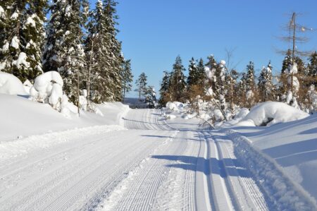 Finland To Build A Million Landmines As Russian Threat Looms – TWZ ¤