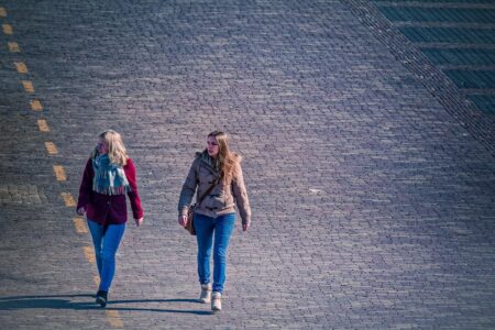 TurtleTree Moves Global Headquarters to the Netherlands, Hands LF+ Women’s Health Research to NIZO – vegconomist.com ¤