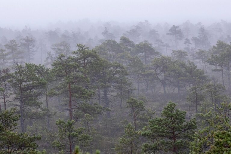 Finland orders pause on Google AI data centres over environmental concerns * ¤